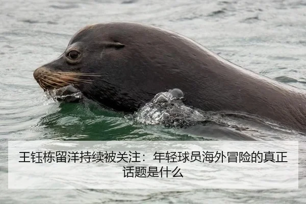 王钰栋留洋持续被关注：年轻球员海外冒险的真正话题是什么（m6）